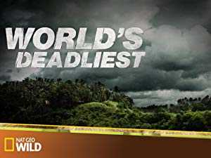 World
