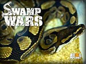 Swamp Wars