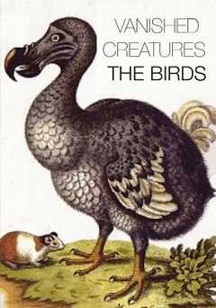 Vanished Creatures: The Birds - tubi tv