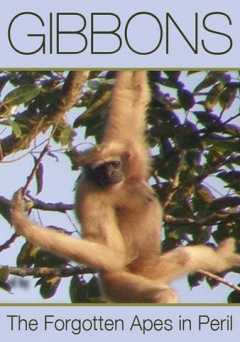 Gibbons: The Forgotten Apes In Peril