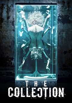 The Collection - amazon prime