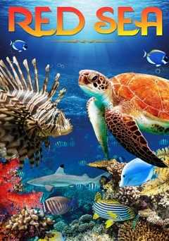 Red Sea - vudu