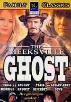 The Meeksville Ghost