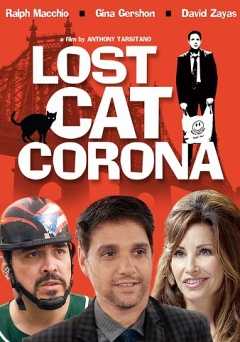 Lost Cat Corona