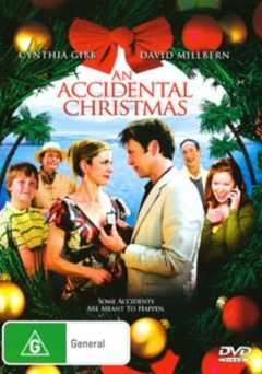 An Accidental Christmas - hulu plus