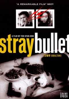 Stray Bullet