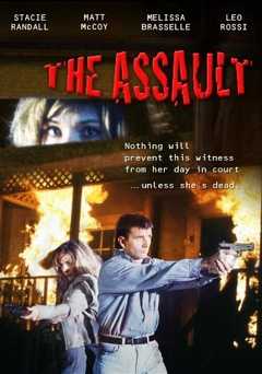 The Assault - Movie