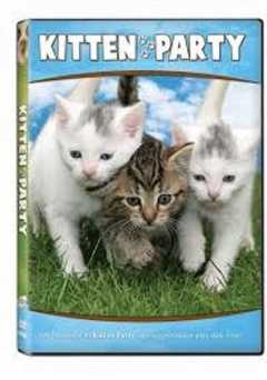 Kitten Party - tubi tv