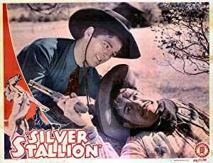 Silver Stallion