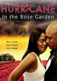 Hurricane in the Rose Garden
