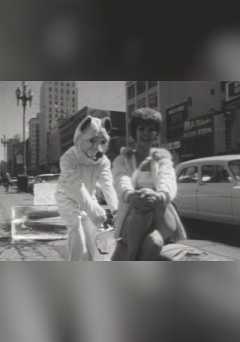 Sincerely, Joe P. Bear