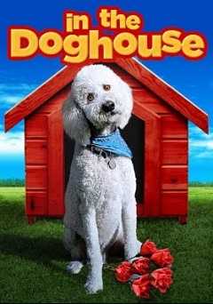 In The Doghouse