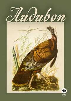 Audubon