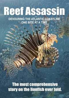 Reef Assassin
