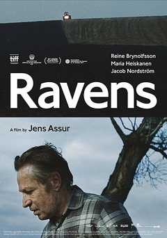 Ravens - amazon prime