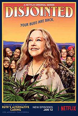 Disjointed - netflix