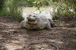 72 Dangerous Animals: Latin America - netflix