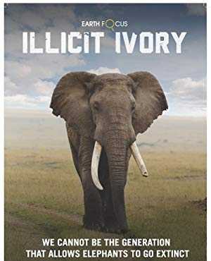 Earth Focus - amazon prime