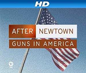 After Newtown: Guns in America