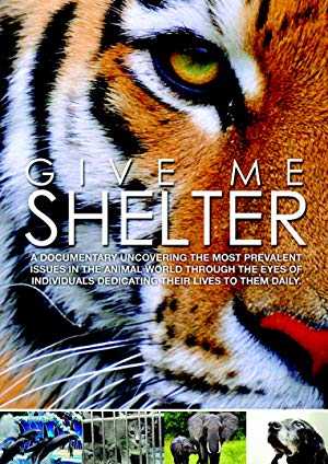 Give Me Shelter