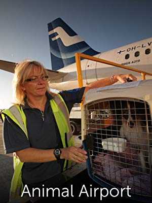 Animal Airport - netflix