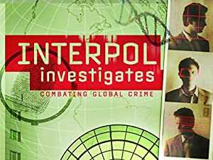 Interpol Investigates