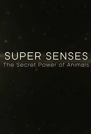 Super Senses