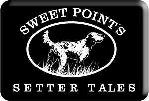 Sweet Points Setter Tales - amazon prime