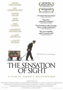 The Sensation of Sight - Movie