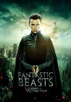 Fantastic Beasts and Where to Find Them - Movie