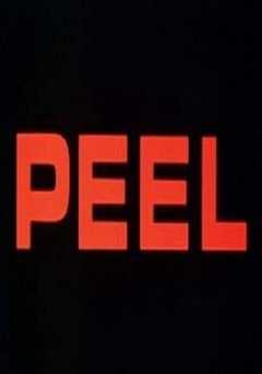 An Exercise in Discipline: Peel - film struck