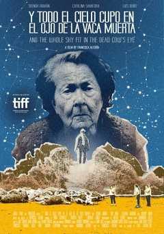And The Whole Sky Fit In The Dead Cows Eye - film struck