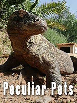 Peculiar Pets - netflix
