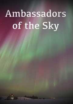 Ambassadors of the Sky - Movie