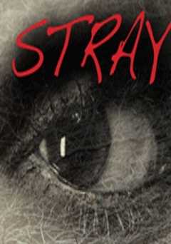 Stray