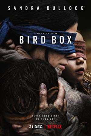 Bird Box - netflix