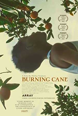 Burning Cane - netflix