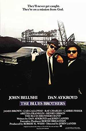 The Blues Brothers - netflix