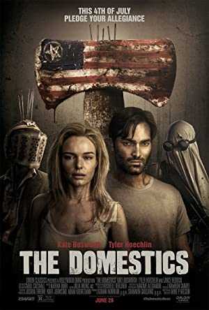 The Domestics - netflix