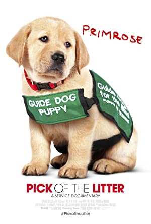 Pick of the Litter - netflix