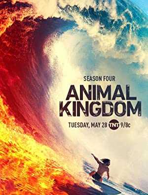 Animal Kingdom - netflix