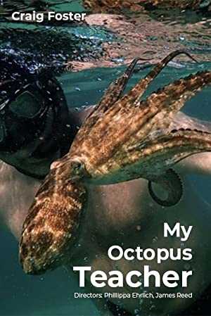 My Octopus Teacher - netflix