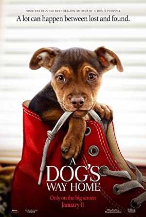 A Dogs Way Home - netflix