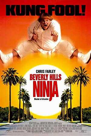 Beverly Hills Ninja - Movie