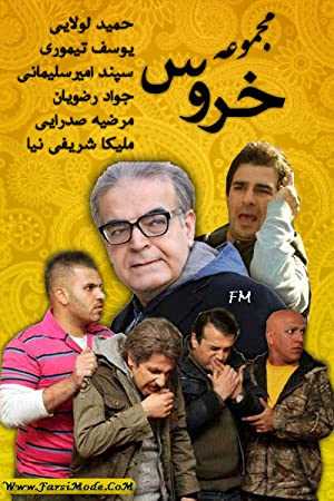 The Rooster - netflix