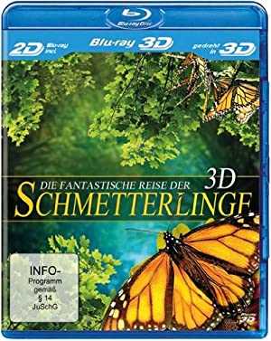 Flight Of The Monarch Butterfly - Movie