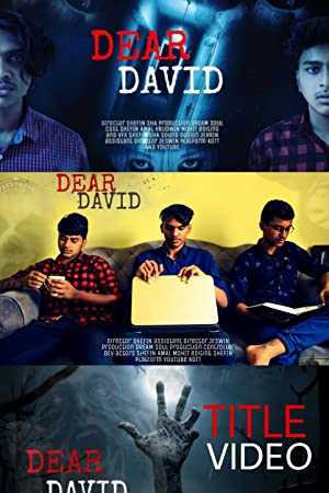 Dear David - netflix