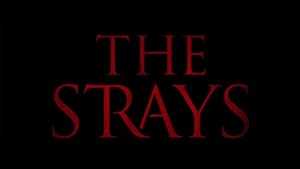 The Strays - netflix