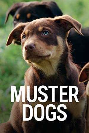 Muster Dogs - netflix