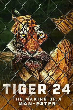 Tiger 24 - netflix